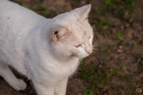 ¿Cómo mejorar la fidelización del cliente a través del marketing personalizado?